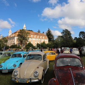 Dia Mundial do Fusca será celebrado neste domingo em Rio Negro