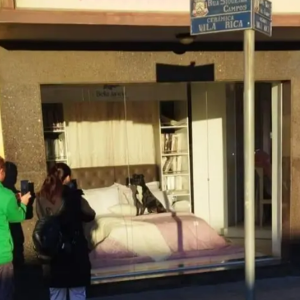 Cachorro de rua chama atenção ao dormir em cama na vitrine de loja