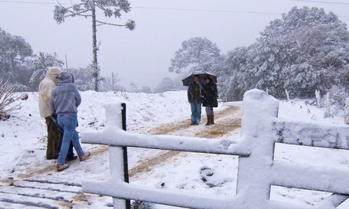 Planalto Norte tem 80% de chance de ver neve nesta sexta-feira, diz Epagri/Ciram