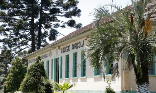 Ratinho Junior sanciona lei que transforma colégios agrícolas em cooperativas-escola