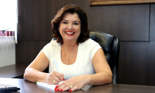 “A situação econômica que recebemos ao assumir a gestão foi o maior desafio”, afirma vice-governadora