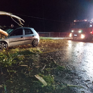 Árvore cai sobre carro com quatro pessoas na SC-477