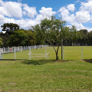 Vasco da Gama de Augusta Vitória promove amistosos neste domingo
