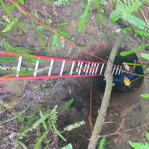 Cachorro é resgatado pelos bombeiros após cair em poço abandonado