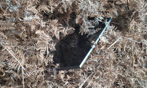 Dupla é presa em flagrante após furtar televisão em Mafra