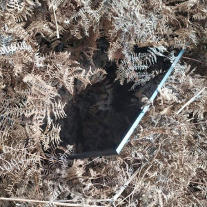 Dupla é presa em flagrante após furtar televisão em Mafra