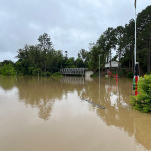 Ainda subindo, nível do rio Negro se aproxima de 11 metros