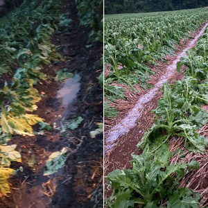 Temporal com granizo atinge localidades do interior de Mafra