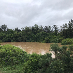 Nível do rio Negro volta a subir e deixa Defesa Civil em alerta
