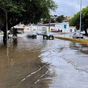 Após recuar 23 centímetros, rio Negro volta a subir; veja nível
