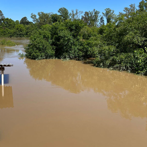 Nível do rio Negro estabiliza, mas segue acima de 10 metros
