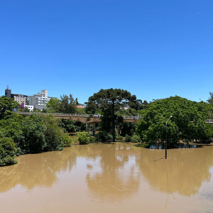 Nível do rio Negro já recuou 70 centímetros