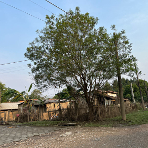 Projeto busca realocar famílias que moram em regiões de alagamento