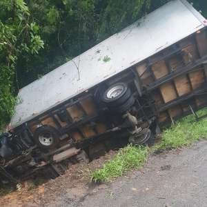 Caminhão tomba após saída de pista na BR-280