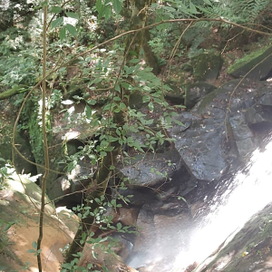 Mulher fica ferida após cair de 8 metros em cachoeira
