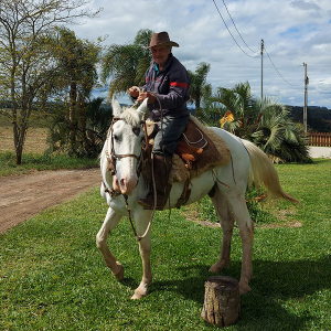 Idoso é encontrado morto em plantação de soja