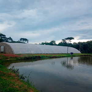 Mafra inicia expansão na produção e comercialização de peixes em 2024