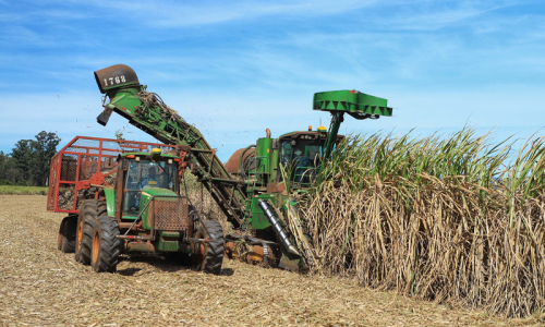 Com US$ 5,4 bilhões no 1º trimestre, Paraná segue como maior exportador do Sul