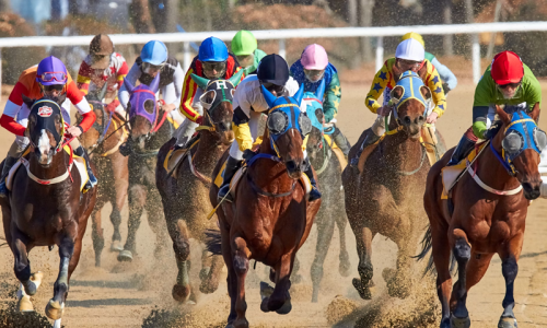 Apostar em corridas de cavalos: saiba como funciona