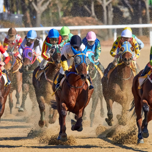 Apostar em corridas de cavalos: saiba como funciona
