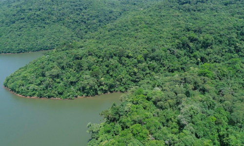 Pesquisa nacional aponta que Santa Catarina reduziu em 86% o desmatamento da Mata Atlântica