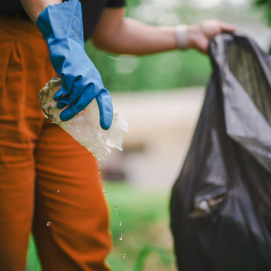 Dengue: cuidados e prevenção devem continuar mesmo no inverno