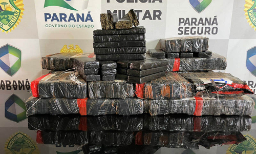 Paraná foi o estado que mais apreendeu maconha nos três primeiros meses de 2024