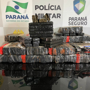 Paraná foi o estado que mais apreendeu maconha nos três primeiros meses de 2024