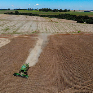 Paraná deve colher 646 mil toneladas de feijão, 34% a mais que em 2023