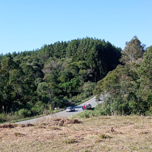 Homem é encontrado morto na SC-114; entenda