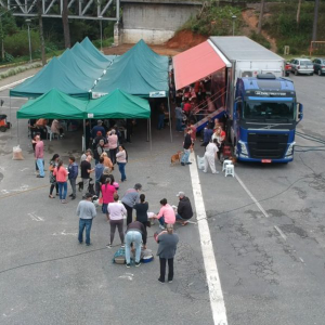Castração de animais: veja como e quando fazer inscrição