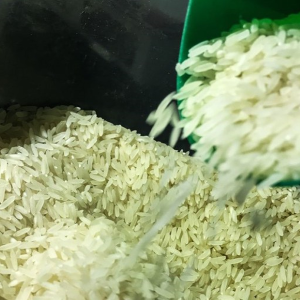 Novo leilão de arroz pode prejudicar produtores locais