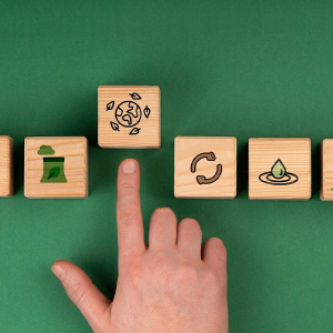 Economia Circular: contribuindo com um futuro mais sustentável