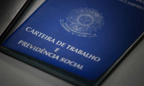 Santa Catarina é o estado com mais trabalhadores formais entre a população economicamente ativa