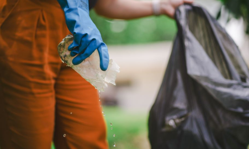 Dengue em SC: cuidados de prevenção devem ser mantidos mesmo com temperaturas baixas