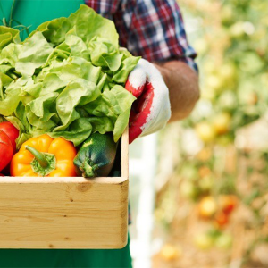PAA é relançado como peça-chave para combater a fome e a desnutrição no país