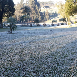 Geada e temperaturas negativas: como fica o tempo nos próximos dias?
