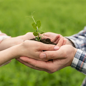 Conscientização sobre decomposição de resíduos é fundamental para a preservação ambiental
