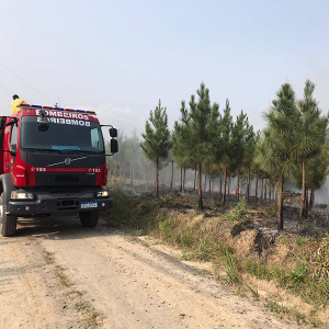 Incêndio atinge área de vegetação em Itaiópolis