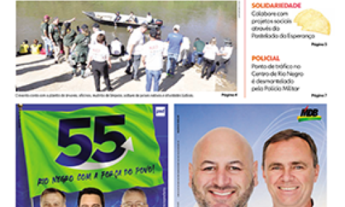 Edição 291