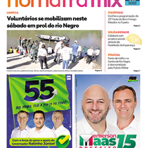 Edição 291