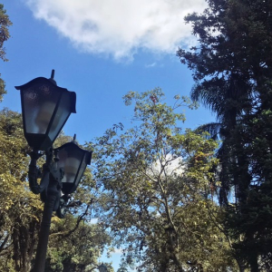 Sol e calor: veja como fica o tempo na primeira semana da primavera