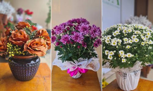 Conheça a simbologia por trás das flores no Dia de Finados
