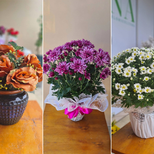 Conheça a simbologia por trás das flores no Dia de Finados