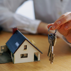 Projeto promete revolucionar o mercado de anúncios imobiliários na região