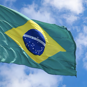 Proclamação, textos e fatos da Bíblia