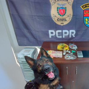 Operação das polícias Civil e Militar prende quarteto suspeito de tráfico de drogas