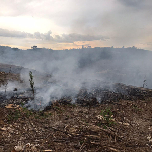 Em dois dias, dois incêndios florestais são registrados na mesma localidade