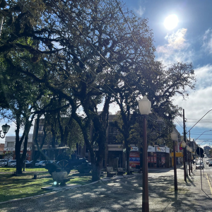 Ventos e predomínio de sol: veja como fica o tempo nos próximos dias
