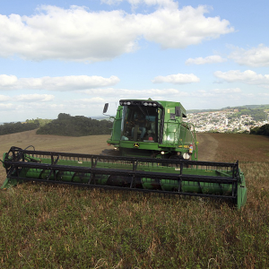 Paraná lidera produção e importação de feijão, e começa a ampliar exportação do produto